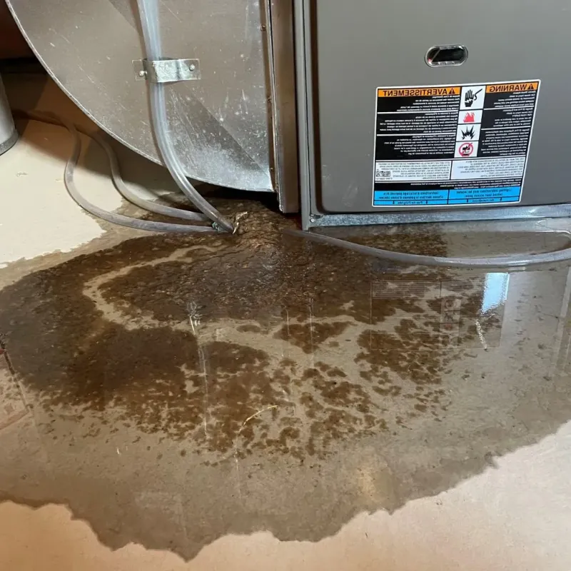 Pipe Burst and Leak Restoration in East Greenwich, RI